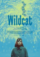  Дикая кошка смотреть онлайн (2023) бесплатно в HD