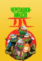  Черепашки-ниндзя 3 смотреть онлайн (1992) бесплатно в HD