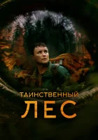  Таинственный лес смотреть онлайн (2023) бесплатно в HD