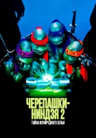  Черепашки-ниндзя 2: Тайна изумрудного зелья смотреть онлайн (1991) бесплатно в HD