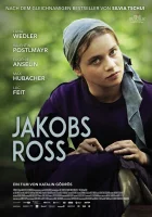  Когда поёт душа смотреть онлайн (2024) бесплатно в HD