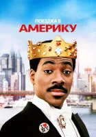  Поездка в Америку смотреть онлайн (1988) бесплатно в HD
