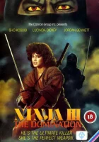  Ниндзя III: Господство смотреть онлайн (1984) бесплатно в HD