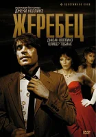  Жеребец смотреть онлайн (1978) бесплатно в HD