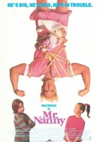  Мистер Няня смотреть онлайн (1993) бесплатно в HD