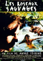  Дикий тростник смотреть онлайн (1994) бесплатно в HD