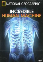  Невероятное тело человека смотреть онлайн (2007) бесплатно в HD