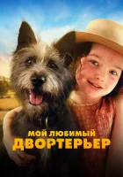  Мой любимый двортерьер смотреть онлайн (2024) бесплатно в HD