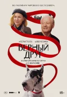  Верный друг смотреть онлайн (2024) бесплатно в HD