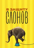  В защиту слонов смотреть онлайн (2013) бесплатно в HD