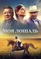  Моя лошадь смотреть онлайн (2016) бесплатно в HD