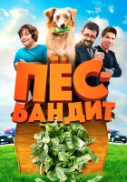  Пёс Бандит смотреть онлайн (2016) бесплатно в HD